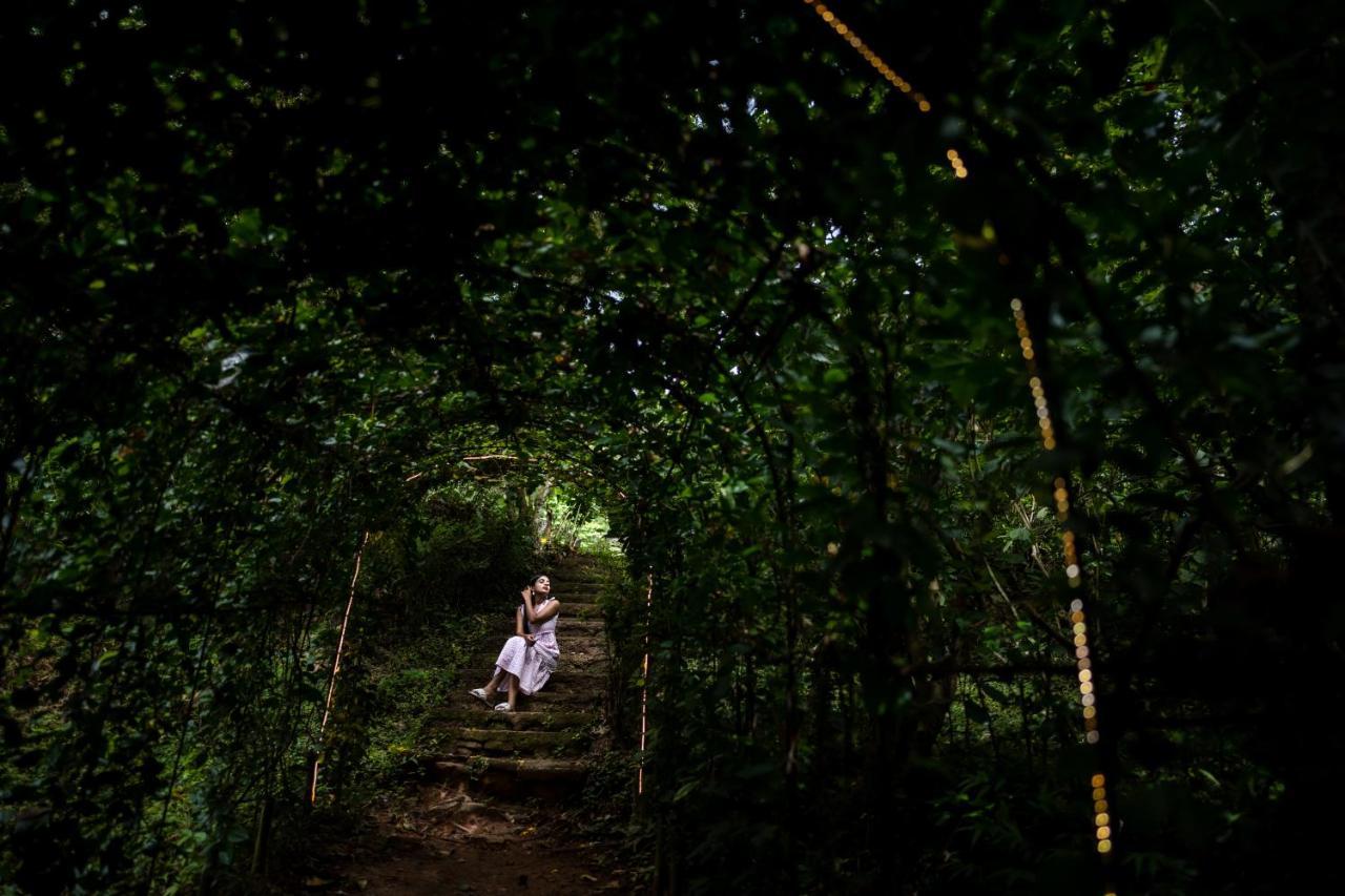 Raindrops Resorts Wayanad Sultan Bathery Luaran gambar