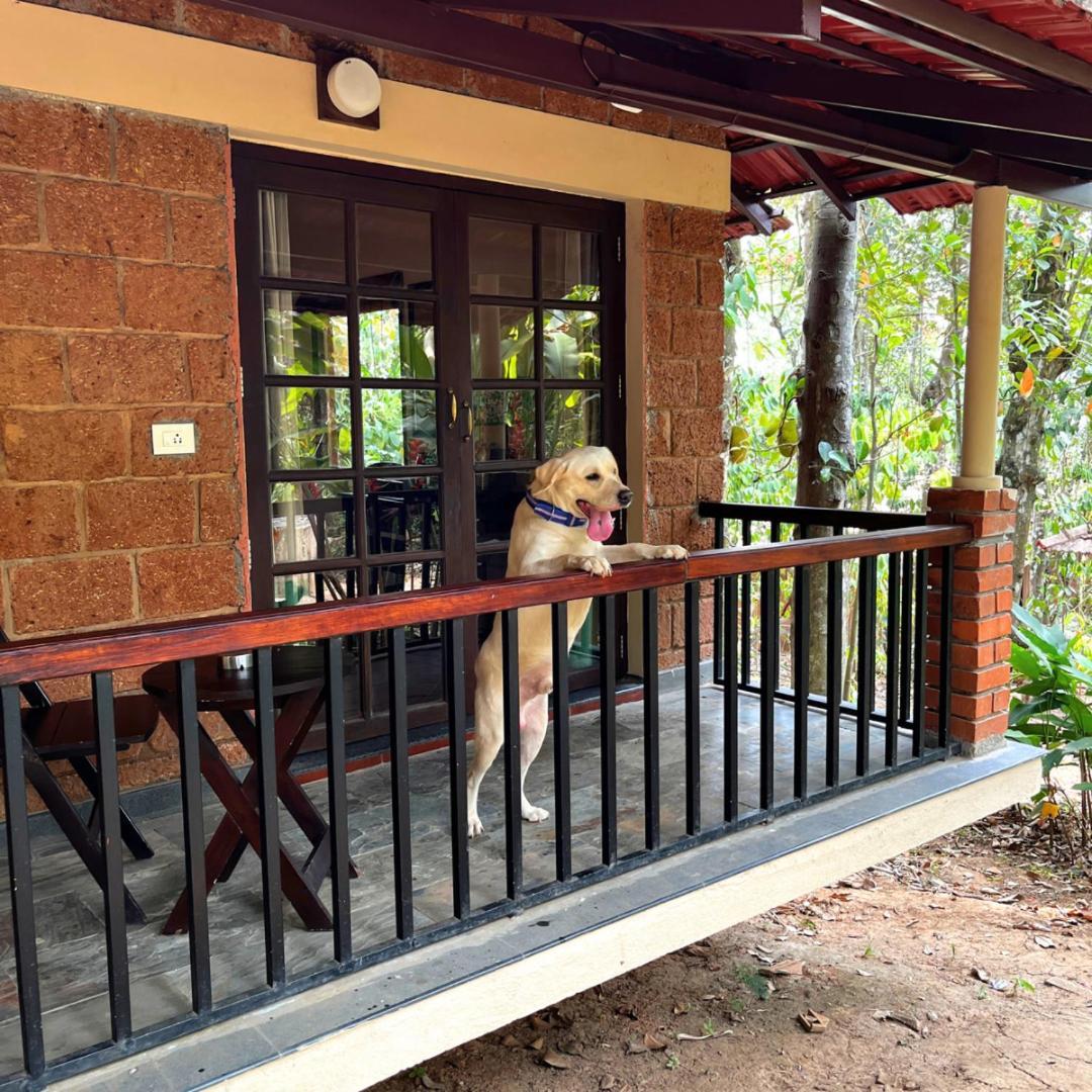 Raindrops Resorts Wayanad Sultan Bathery Luaran gambar