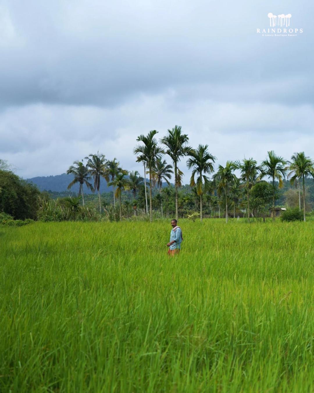 Raindrops Resorts Wayanad Sultan Bathery Luaran gambar