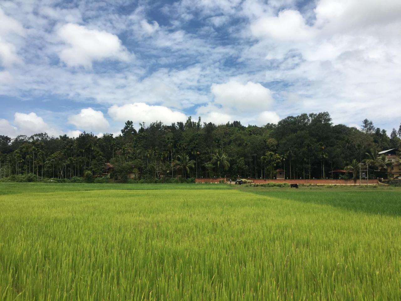 Raindrops Resorts Wayanad Sultan Bathery Luaran gambar